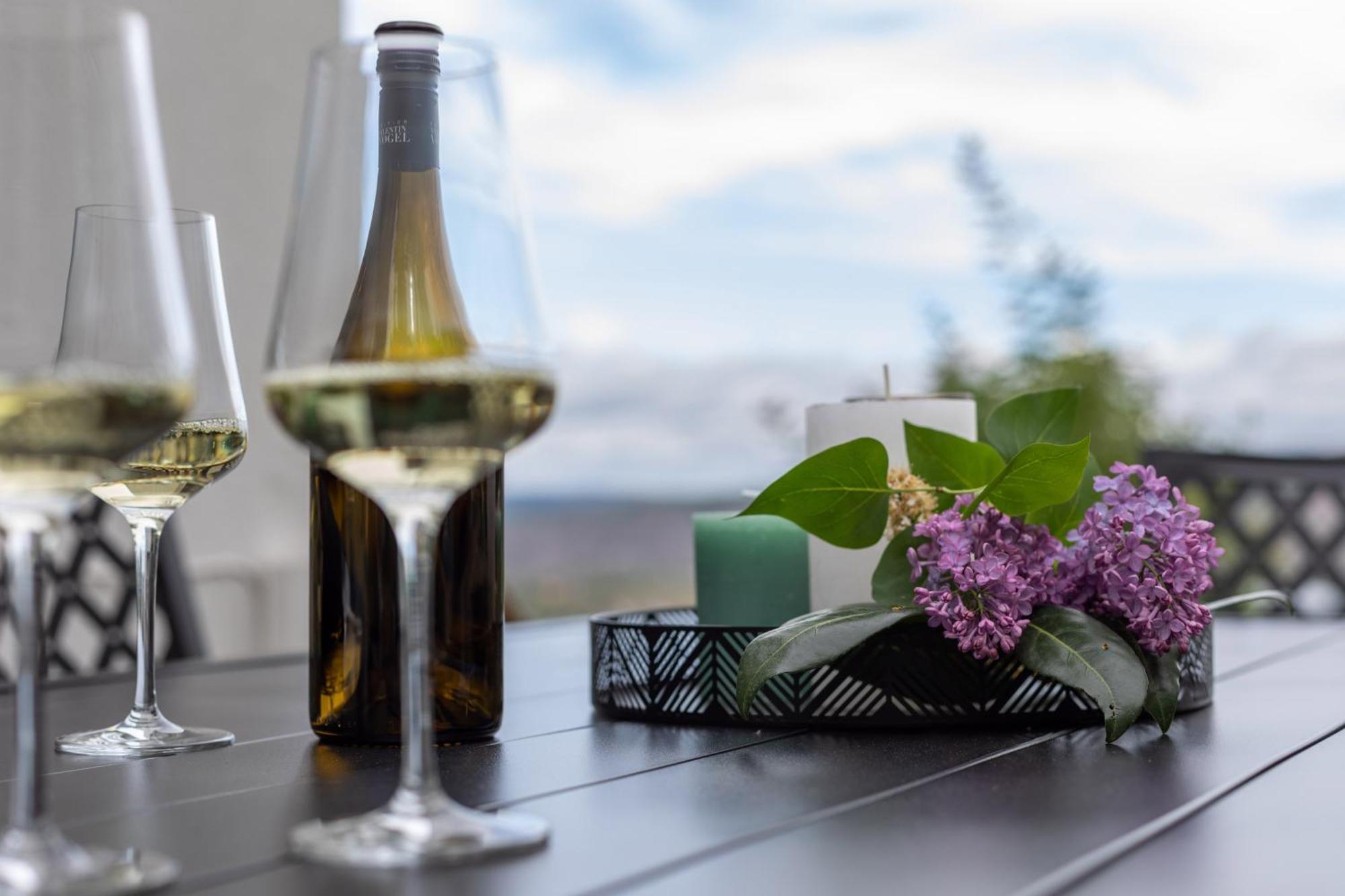Cozy II Luxurioes Moselview Terrasse Garten Netflix 雷温 外观 照片